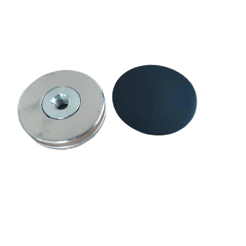 Magnet with rubber